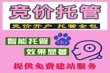 搜索引擎营销（SEM）的推广优化技巧——案例研究